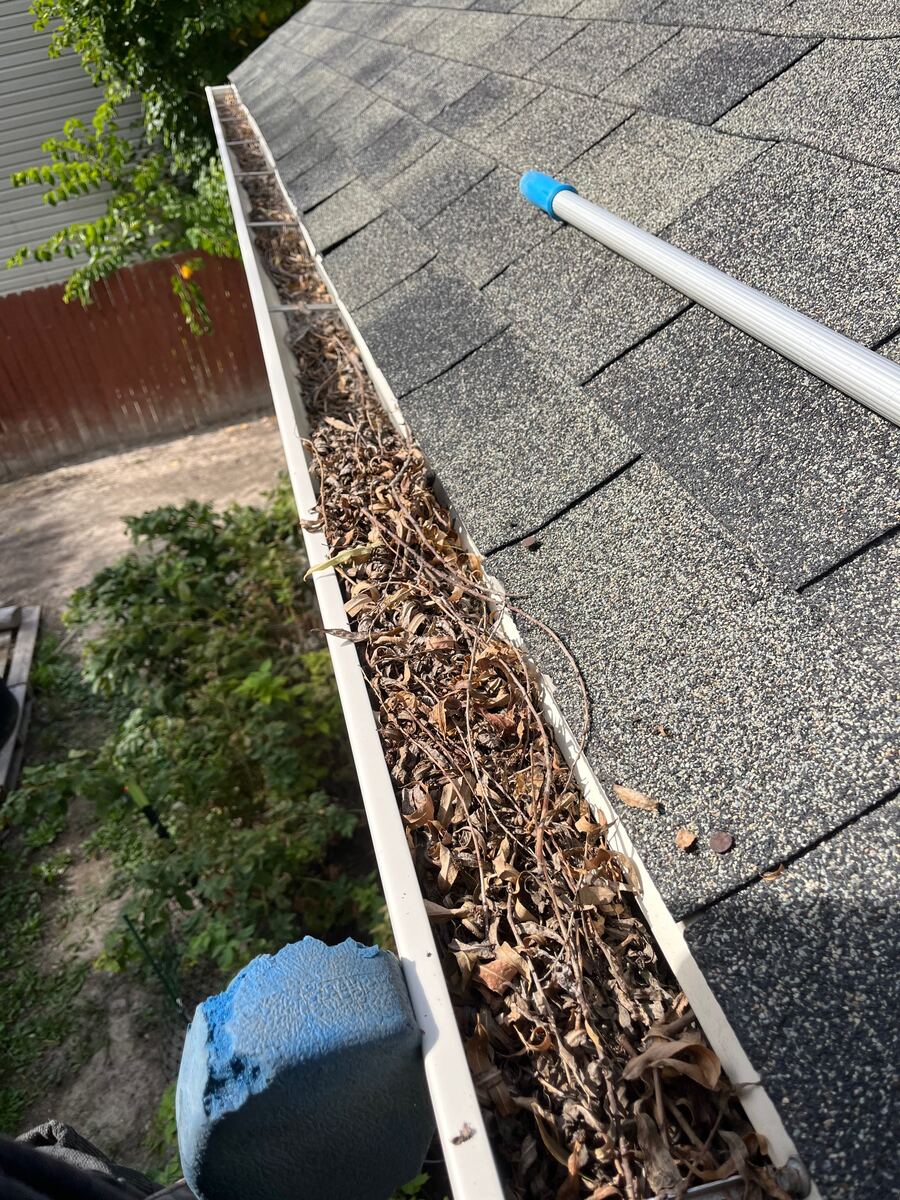 Gutter packed with leaves
