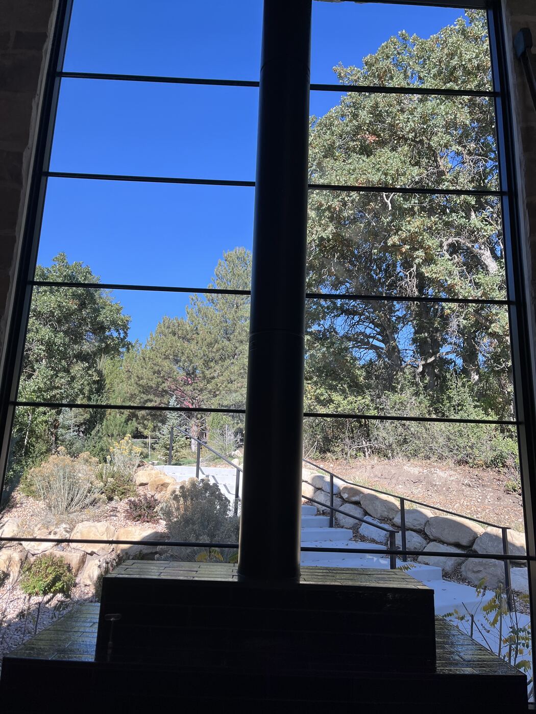 Floor-to-ceiling window looking out onto pines