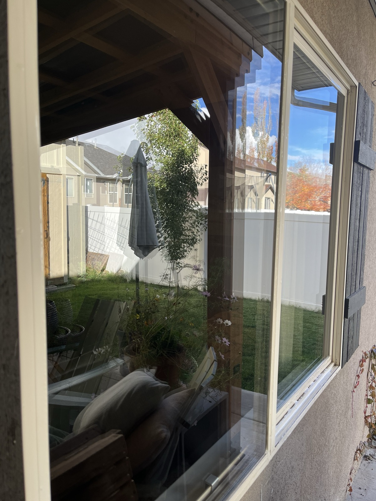 The same window, clear, reflecting the yard and sky